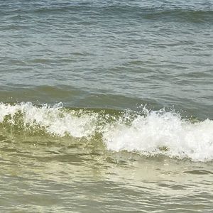 Meet your Posher, Connie